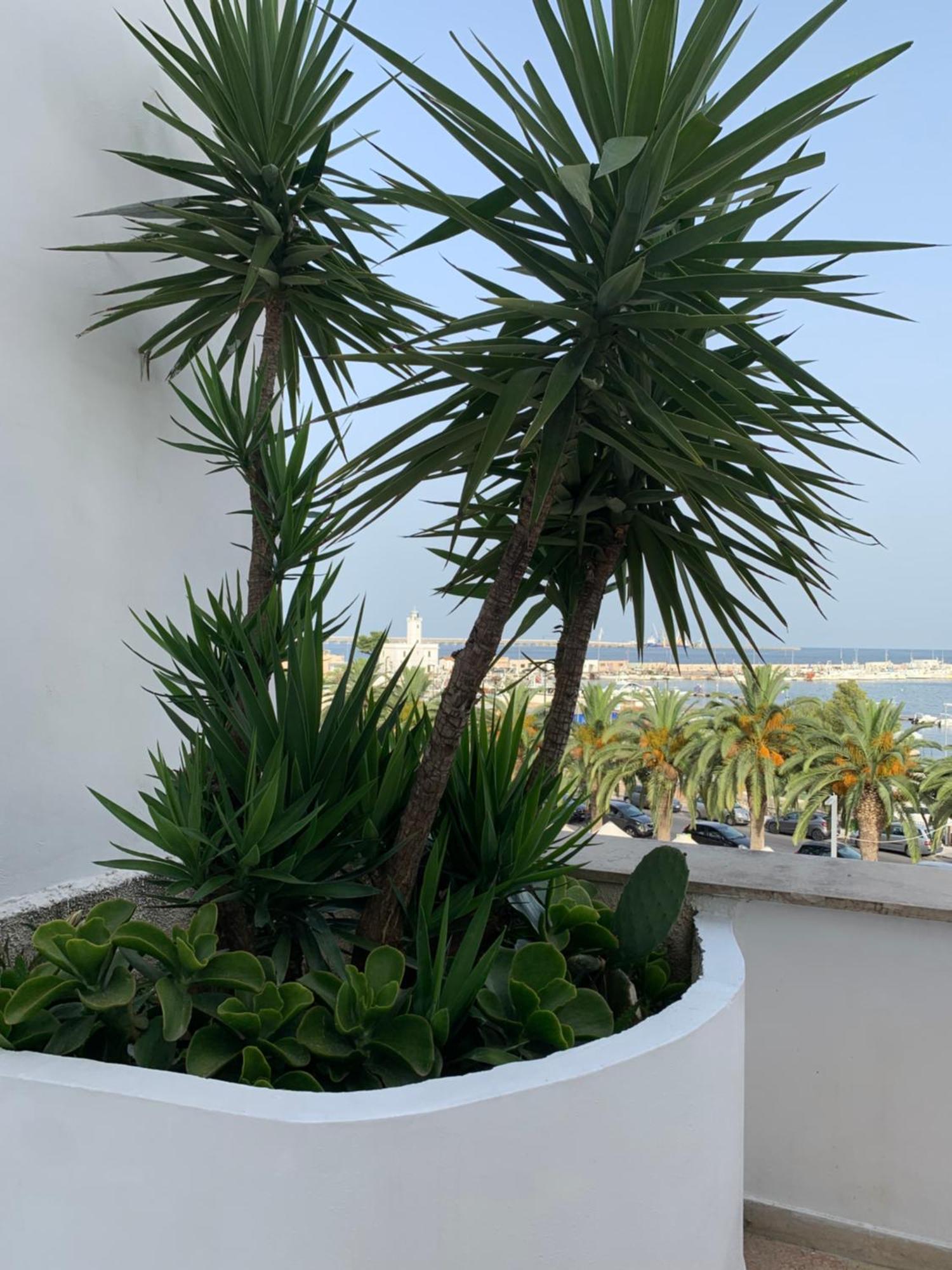 Terrazza Diomede- Manfredi Homes & Villas 曼弗雷多尼亚 外观 照片